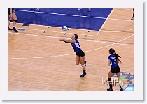 Set 2 * (136 Slides)